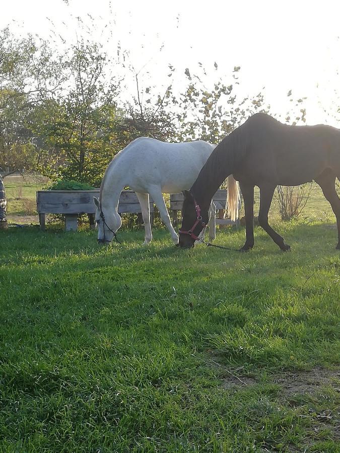 A Travers Chants B&B Clion  ภายนอก รูปภาพ